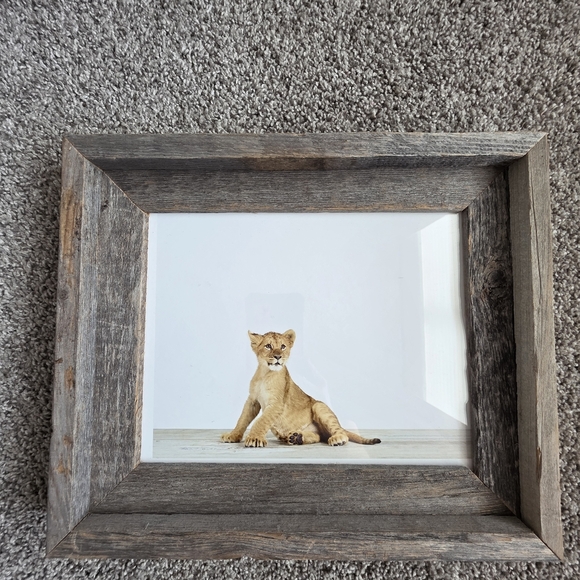 Restoration Hardware Rare Nursery Baby Animals - Picture 7 of 11